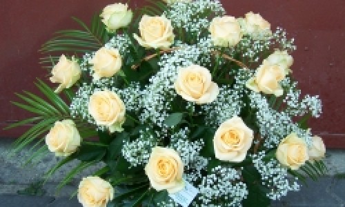 MyFlora Brasov– o floare printre flori!