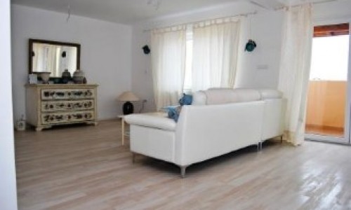 San Casa – Faci casa buna cu ei!