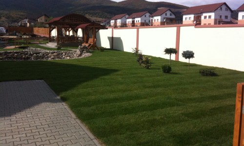 Toskana Garten – Servicii amenajari spatii verzi de inalta calitate