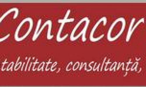 Contacor Expert – Importanta contabilitatii!