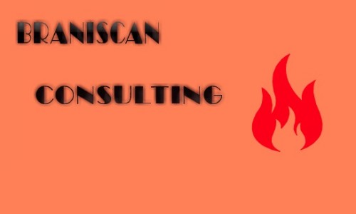 Braniscan Consulting – Solutii profesioniste impotriva incendiilor!
