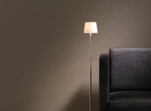 Casa de Tapet Franchise- specialistul tau in decorarea peretilor