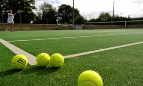 Eurocat. Un gazon, mai multe posibilitati