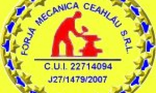 Forja Mecanica Ceahlau: Realizare piese forjate
