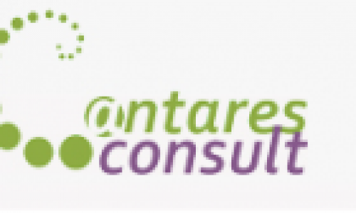 Cauti servicii de interpretariat? – Antares Consult